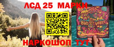 стафф Заволжье