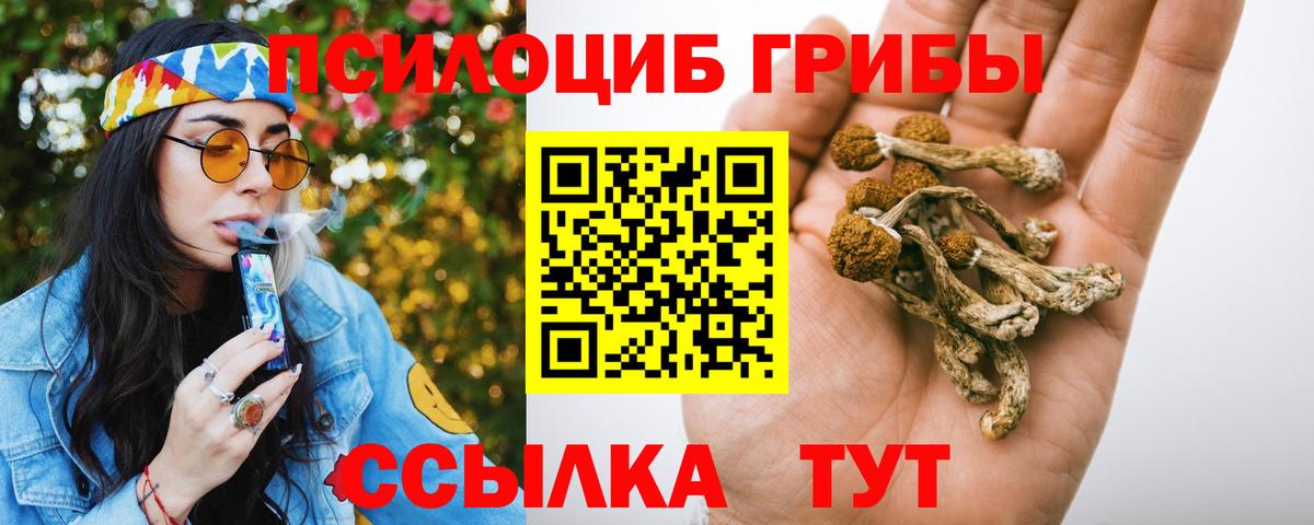 Псилоцибиновые грибы Cubensis Мариинск